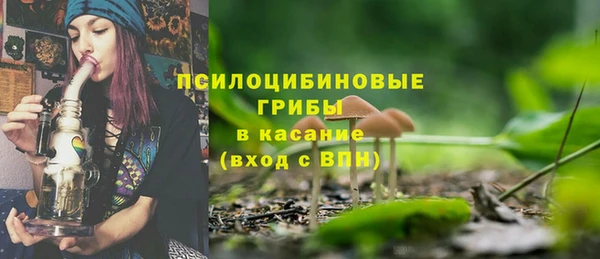 a pvp Горнозаводск