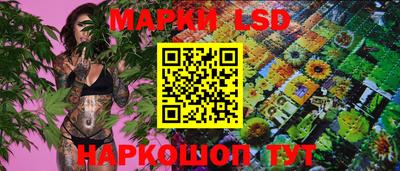 МДМА Гатчина